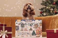 Adventszeit ohne Winterspeck - So kommt Ihr Hund gesund durch den Winter