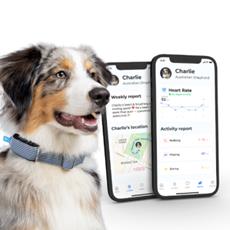 CES Invoxia | Generative AI Gives Voice to Dogs &amp; Cats with the Minitailz Tracker