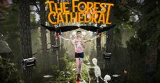 Environmental Thriller The Forest Cathedral Announces March Xbox and PC Release Date