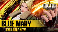 FATAL FURY: City of the Wolves - Blue Mary Character Available Now