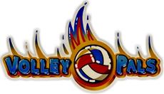 Volley Pals Demo Present at Steam Next Fest